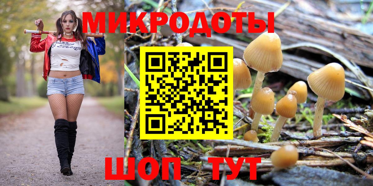 Севастополь  Псилоцибиновые грибы ЛСД  Вход с VPN 